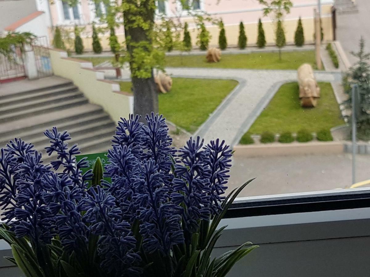 Pokoje Nad Welem Lidzbark Διαμέρισμα Lidzbark Welski Εξωτερικό φωτογραφία